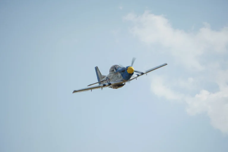 p51 mustang